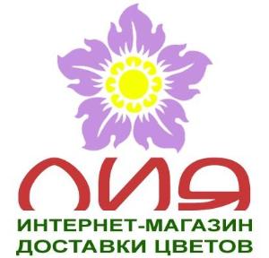 Интернет-магазин «Лия» - Город Бирск Logo.jpg